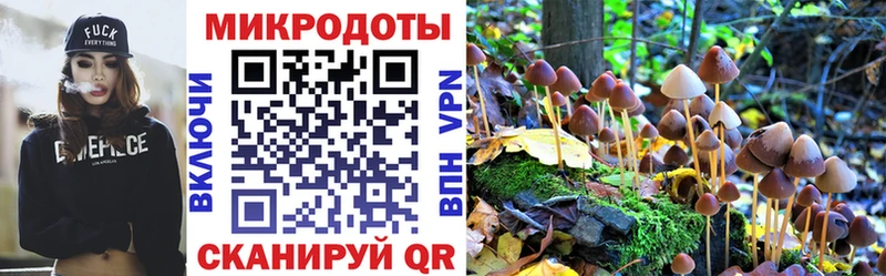 Галлюциногенные грибы Magic Shrooms  цена   Лабытнанги 